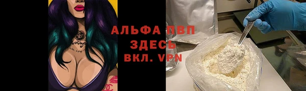 шишки Абинск