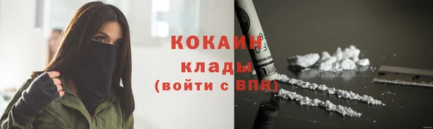 шишки Абинск