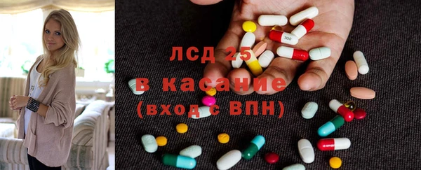 шишки Абинск